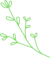 leaf_illust01