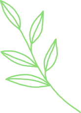 leaf_illust03